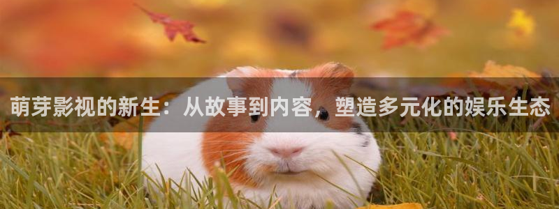 南瓜影院网站