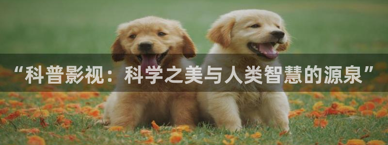 南瓜电影在线