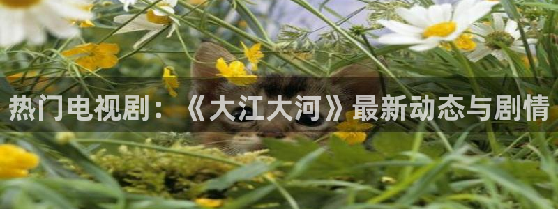 南瓜电影全部免费