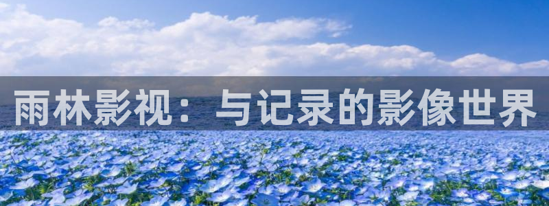 南瓜影院电脑版