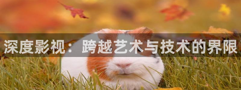 南瓜电影南瓜影视app